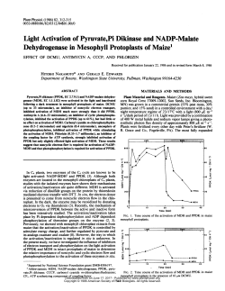 Light Activation of Pyruvate,Pi Dikinase and NADP