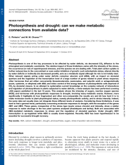 Photosynthesis and drought: can we make metabolic