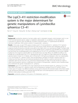 The LspC3&ndash;41I restriction-modification system is the major