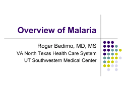 Malaria - UT Southwestern