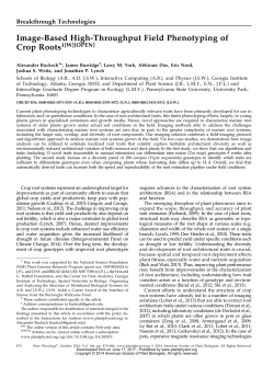 Image-Based High-Throughput Field