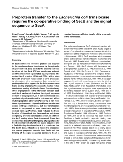 Preprotein transfer to the Escherichia coli translocase