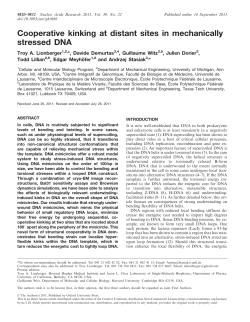 Cooperative kinking at distant sites in mechanically stressed DNA