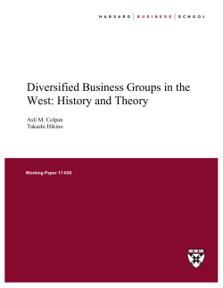 Diversified Business Groups in the West: History and Theory
