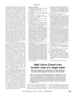 Eight Calves Cloned from Somatic Cells of a Single Adult