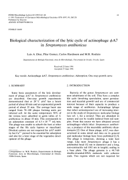 Biological characterization of the lytic cycle of actinophage &phi;A7 in