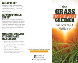 Marijuana Brochure