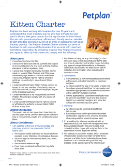 Kitten Charter - Petplan