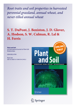 Root traits and soil properties in harvested perennial grassland