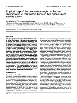 chromosome 7: relationship between two distinct
