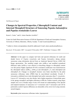 Changes in Spectral Properties, Chlorophyll Content and Internal