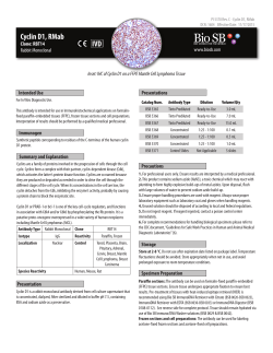 Cyclin D1, RMab IVD