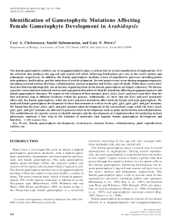 Identification of Gametophytic Mutations Affecting Female