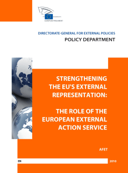 Strengthening the EU`s external representation