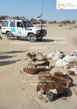 DFID Real Time Review in Sahel