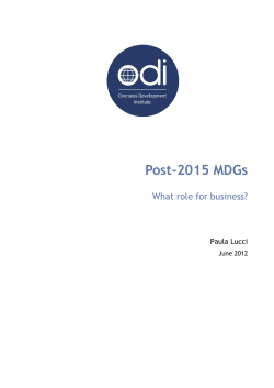 Post-2015 Millennium Development Goals: What role for business
