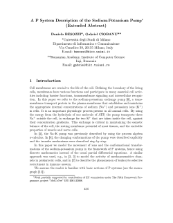 A P System Description of the Sodium