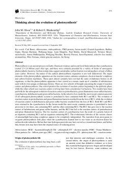 Thinking About the Evolution of Photosynthesis