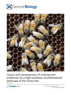 Causes and consequences of crossing-over