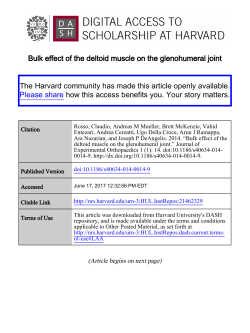 Bulk effect of the deltoid muscle on the glenohumeral joint