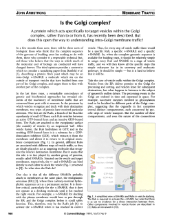 Is the Golgi complex?