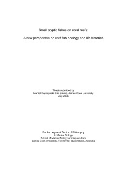 Small cryptic fishes on coral reefs: A new