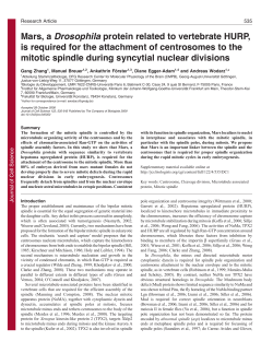 Mars, a Drosophila protein related to vertebrate HURP, is required