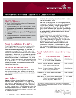 RRPLUS - Template and Guidelines