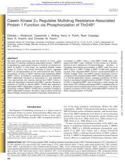 Casein Kinase 2&alpha; Regulates Multidrug Resistance
