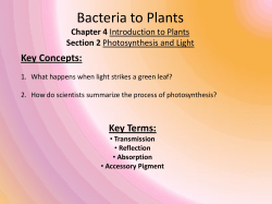 Bacteria to Plants 4-2 Photosynthesis and Light Full