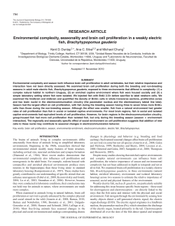 Environmental complexity, seasonality and brain cell proliferation in