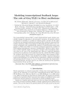 Modeling transcriptional feedback loops: The role