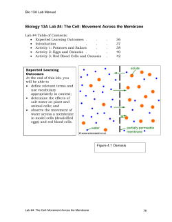 Bio 13A Lab