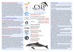 CSIP - UK Cetacean Strandings Investigation Programme