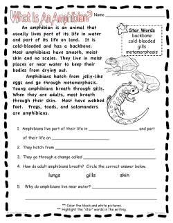 An amphibian is an animal that usually lives part of its life in water