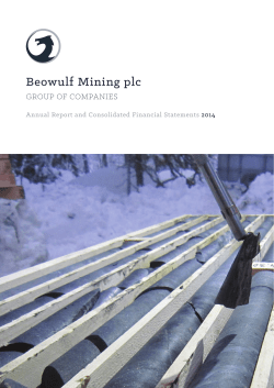 Beowulf Mining Annual Report 2014
