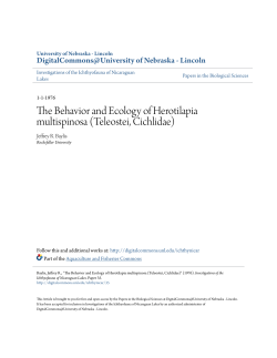 The Behavior and Ecology of Herotilapia multispinosa (Teleostei