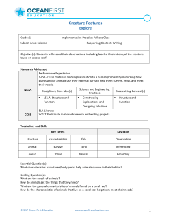 Creature Features - Ocean First Education