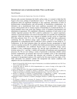 Hydrothermal vents or hydrothermal fields: Where can life begin