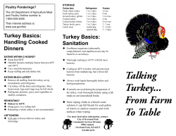 Talking Turkey... From Farm to Table