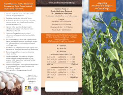 Applying Mushroom Compost to Corn Crops