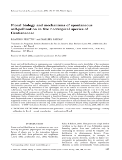 Floral biology and mechanisms of spontaneous self