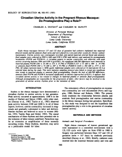 Circadian Uterine Activity in the Pregnant Rhesus Macaque: Do