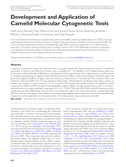 Development and Application of Camelid Molecular Cytogenetic Tools