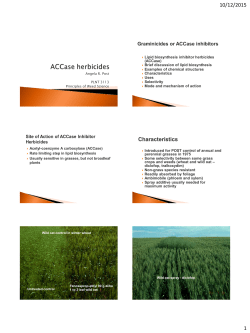 Lipid biosynthesis inhibitor herbicides (ACCase) Brief discussion of