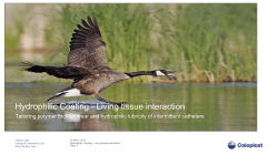 Hydrophilic Coating - Living tissue interaction