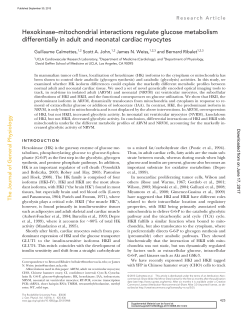 Hexokinase&ndash;mitochondrial interactions regulate glucose