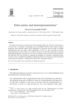 Echo-syntax and metarepresentations