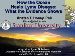 How the Ocean Heals Lyme Disease