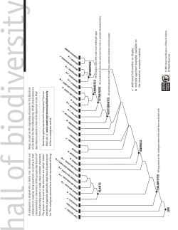Hall of Biodiversity Insert - American Museum of Natural History